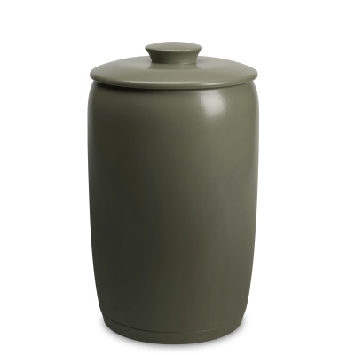 006_Ovum_Akvarell_Mossa